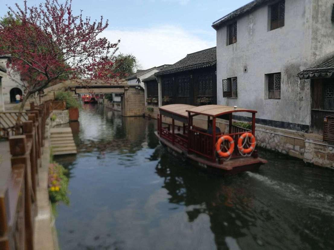 救援受困的火鸡